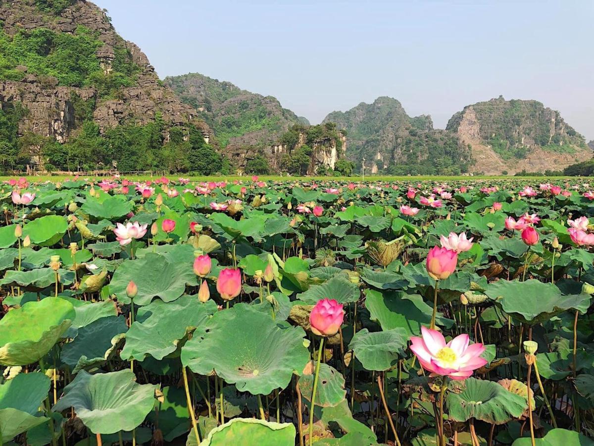 Tam Coc Heart Homestay Ninh Binh Exterior foto